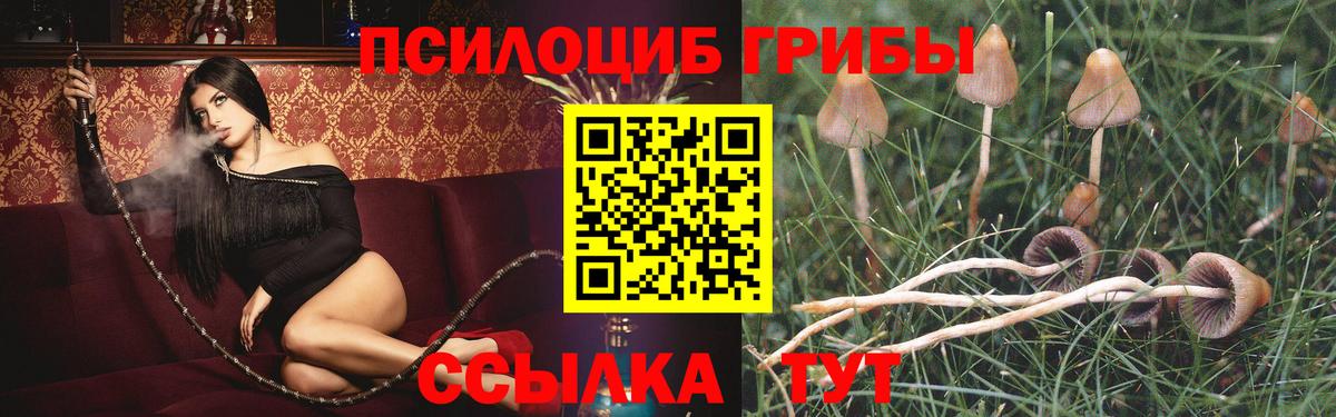 Галлюциногенные грибы ЛСД  Вход с VPN  хочу наркоту  Галлюциногенные грибы MAGIC MUSHROOMS  Ростов Великий 